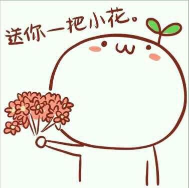 给你花app苹果版