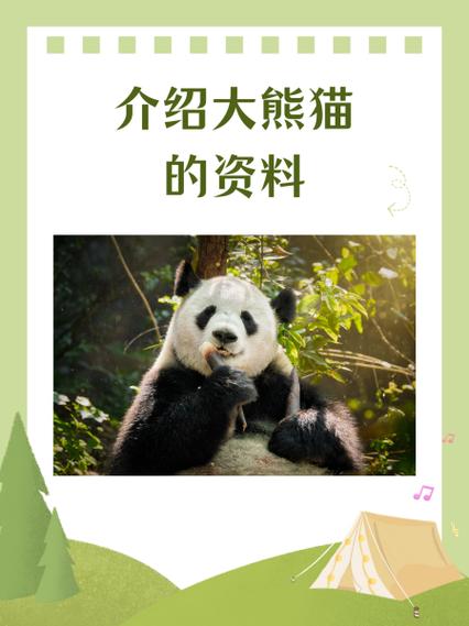大熊猫的详细介绍