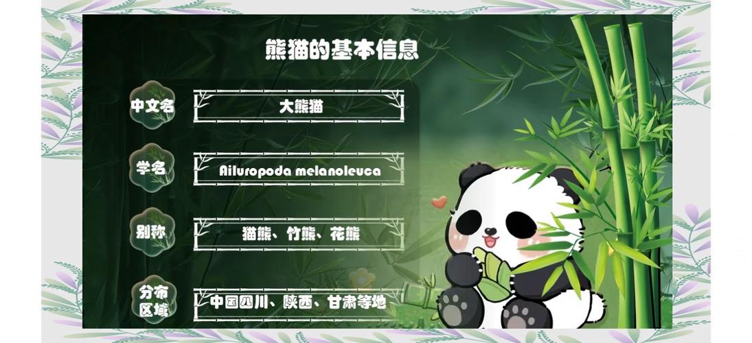 大熊猫的详细介绍截图3