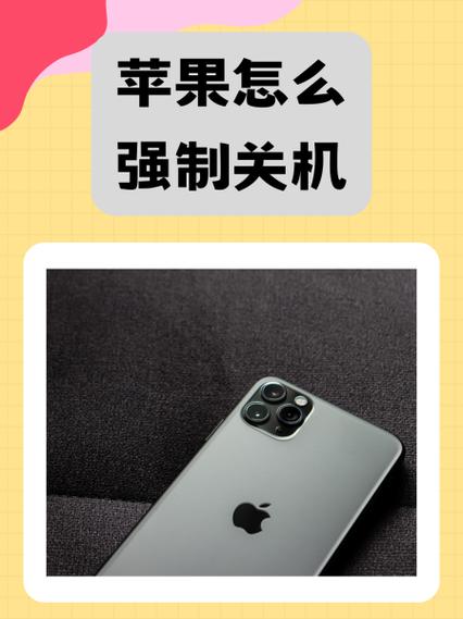 iphone11怎样强制关机重启截图2