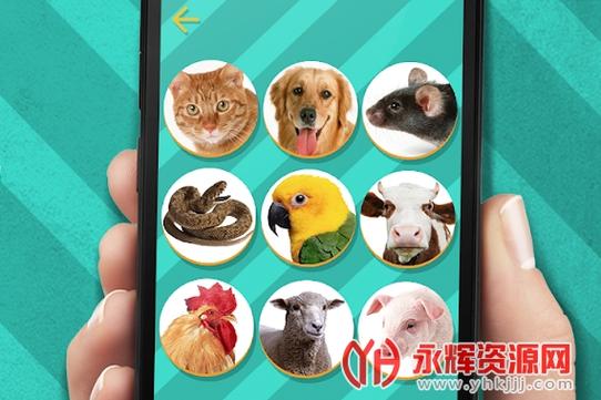 宠物语言翻译软件截图3