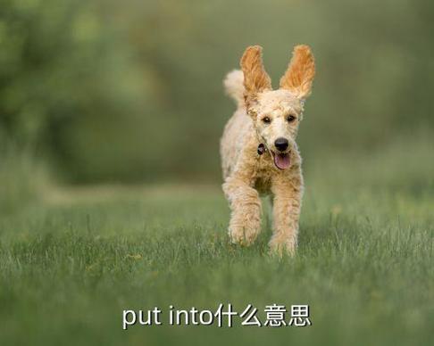 put...into和put...in的区别