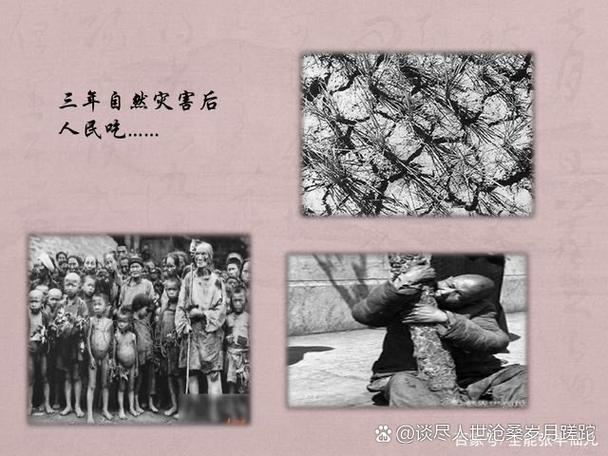 母亲强势是家族最大灾难