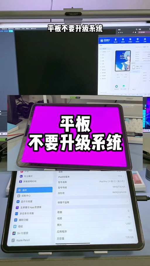 ipad玩游戏闪退怎么办