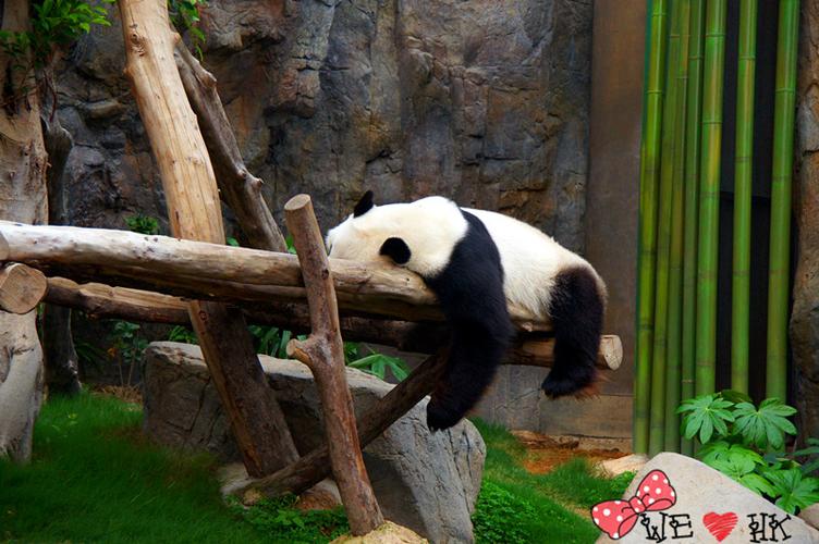 自由家庭攻略最新版截图3