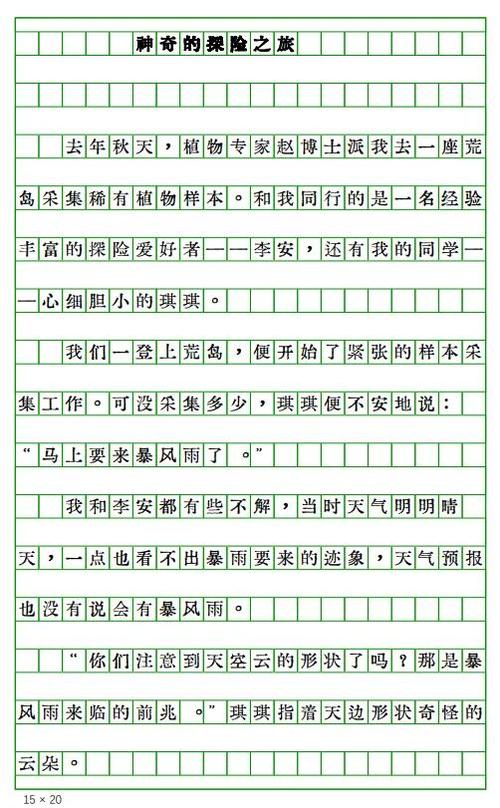 荒岛求生的作文400字