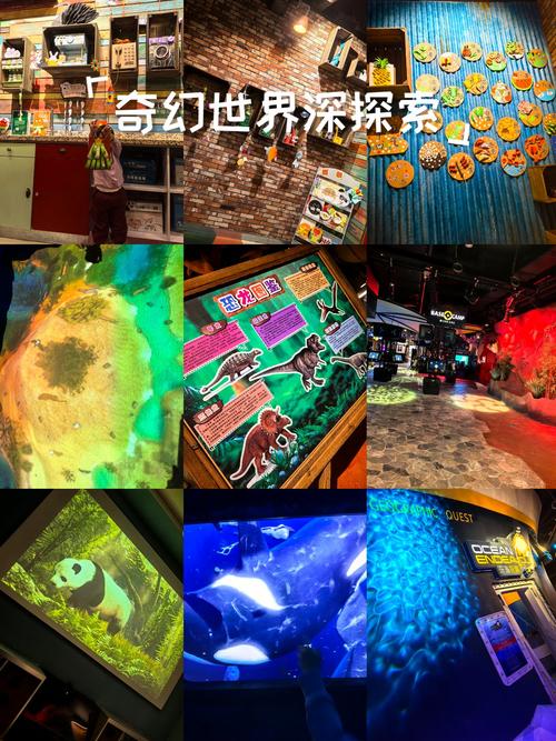 ohho是什么意思