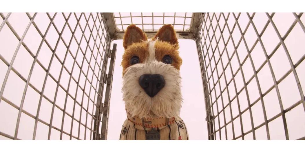 犬之岛