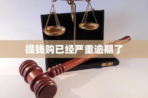 提钱购为什么不能分期