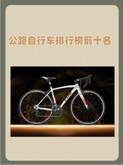 公路自行车排名前十