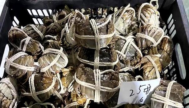一般螃蟹一斤有几个