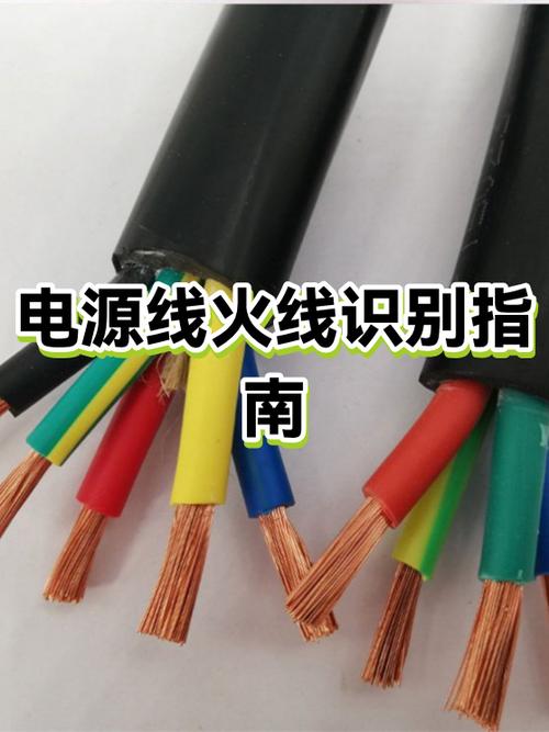 只有蓝黄线哪个是火线