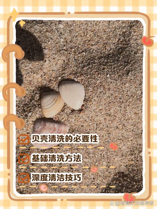 海边捡的贝壳怎样除臭
