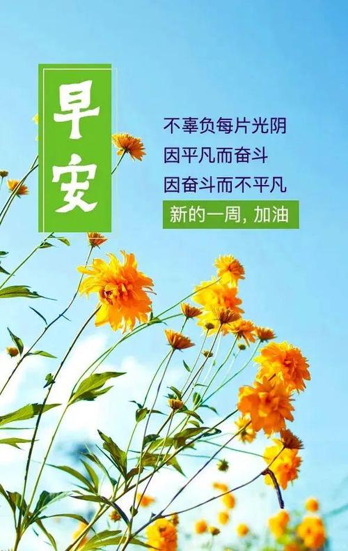 抒写心情的短句