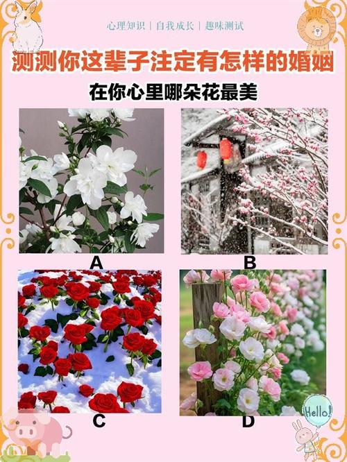 测试婚姻命运免费测试