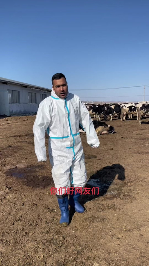 奋斗吧!播种牧场截图3