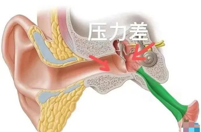 耳朵感觉闷闷的像堵住一样怎么办