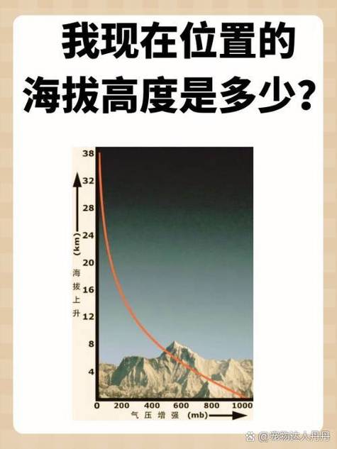 我的当前海拔