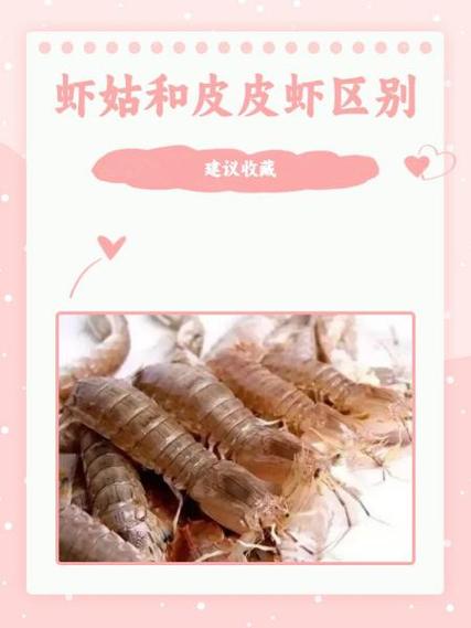 皮皮搞笑和皮皮虾哪个好
