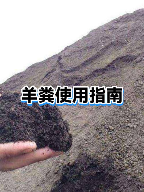 羊粪与豆粕肥哪个好
