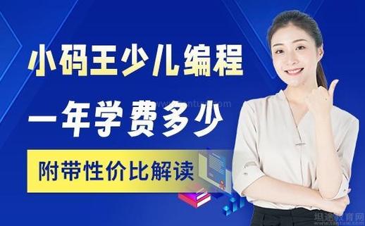 小码王python费用多少