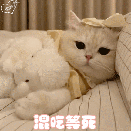 可爱的表情包萌表情