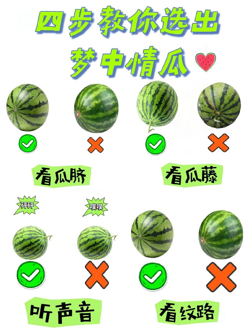 西瓜选号网 qq炫舞截图1