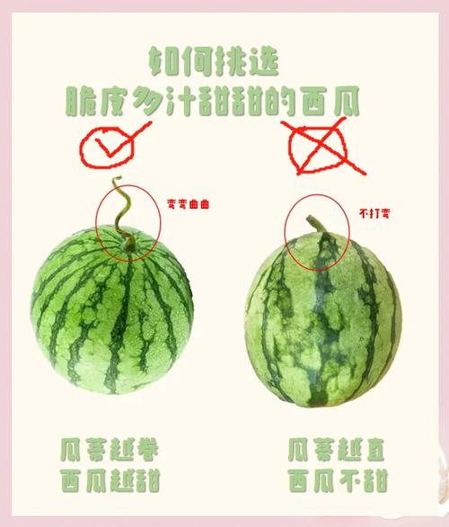 西瓜选号网 qq炫舞截图3