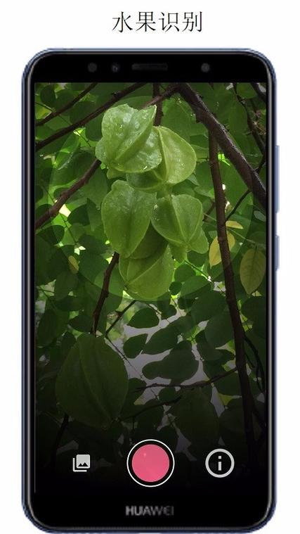 万物识别扫一扫免费软件截图2