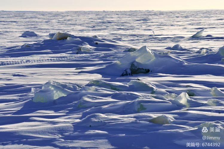 polar capital