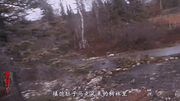 荒野求生生存100天