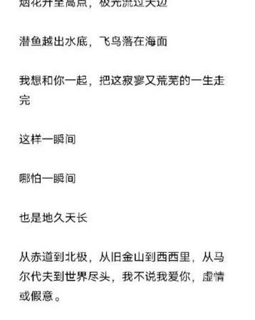追1v1小说