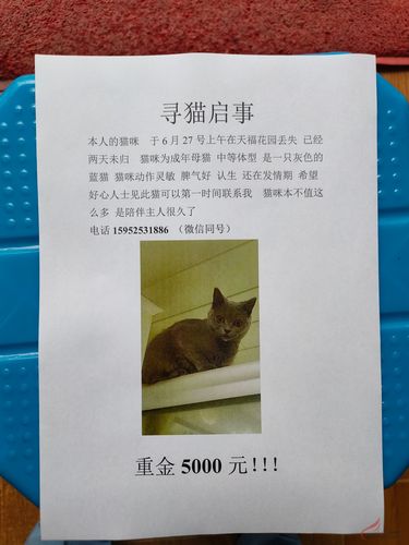 悬赏猫为什么打不开