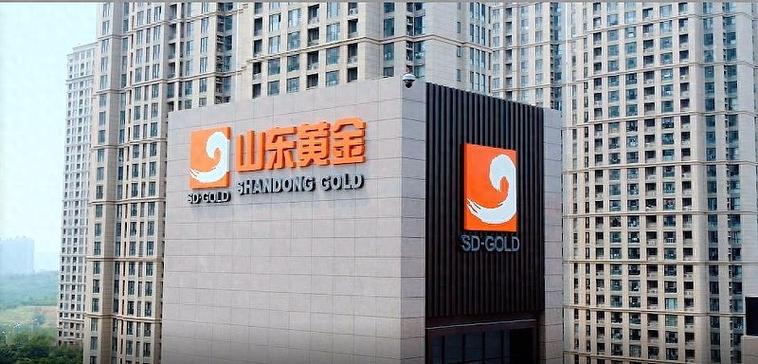 山东黄金一般人不敢买