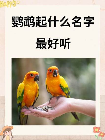 2026最火鹦鹉名字