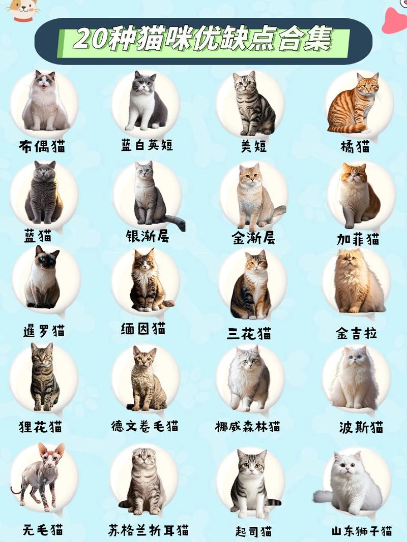 猫和老鼠图片伤感 猫哭