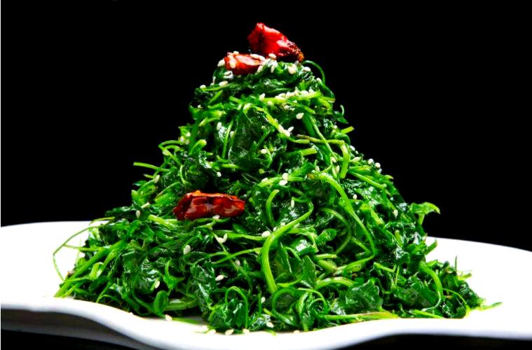 可食用的苜蓿图片大全