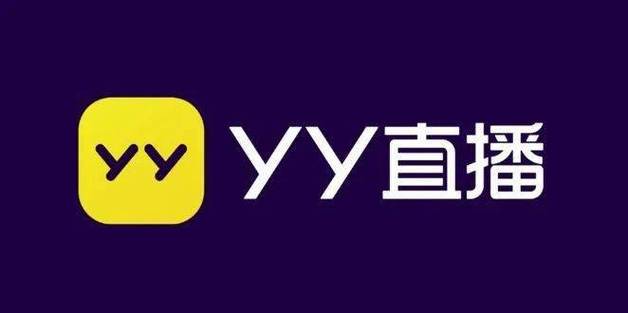 yy代表是什么意思啊