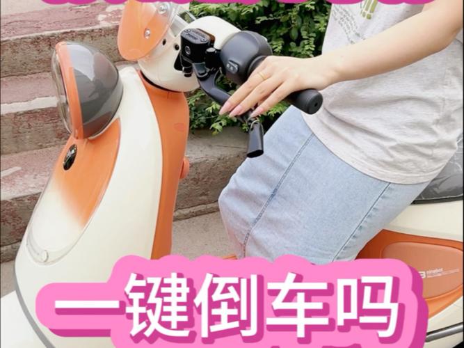 九号电动车一键倒车