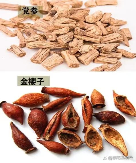 脱肛10个偏方