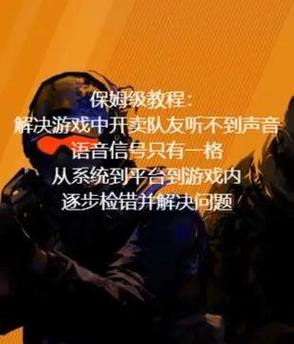 csgo回放能听到语音吗