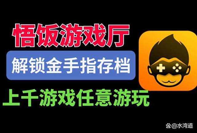 悟饭趣玩自定义金手指
