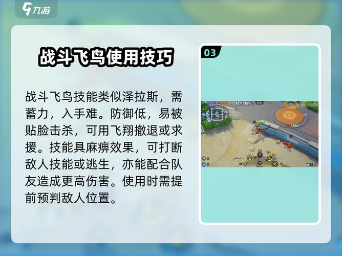 战斗飞鸟进化图 战斗飞鸟进化图