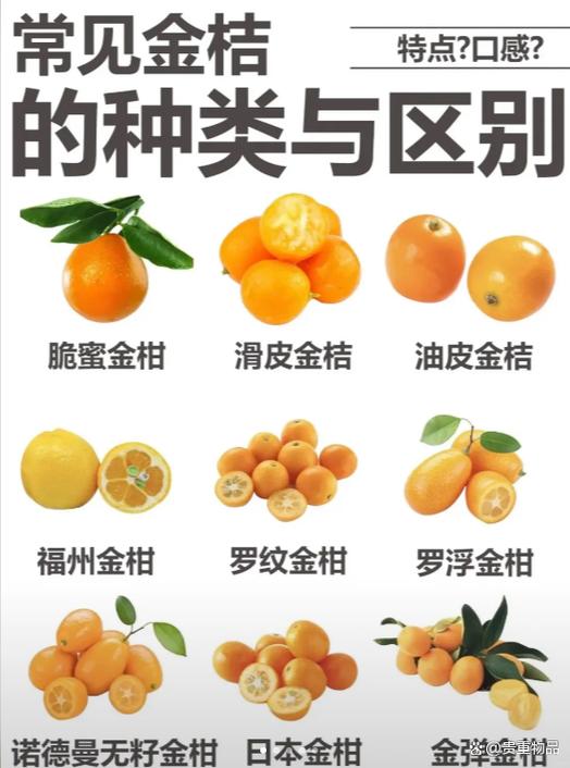 金桔vc含量高吗