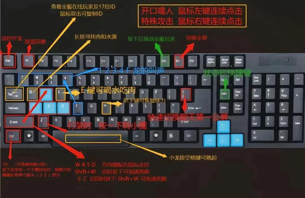 csgo控制台打不开的原因