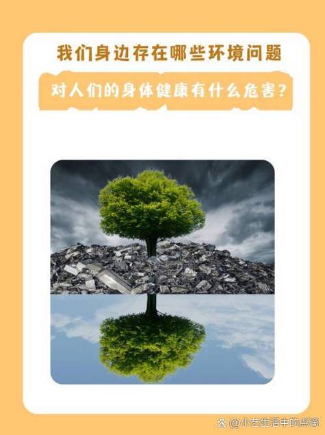 pvp对人体的危害