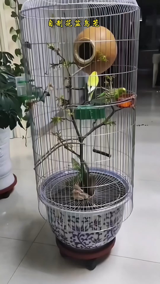 自制鸟笼100种图片