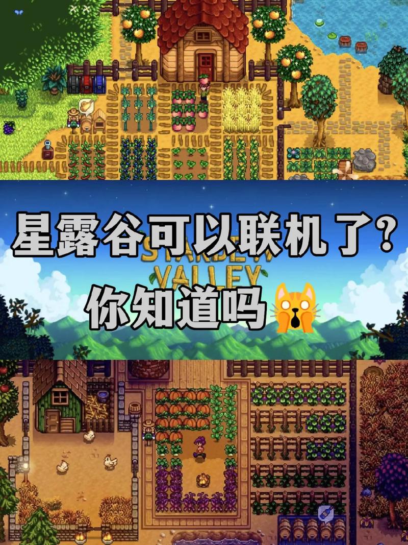 星露谷联机跟单机区别截图3