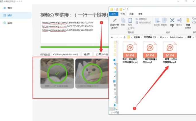 电脑怎样下载西瓜视频