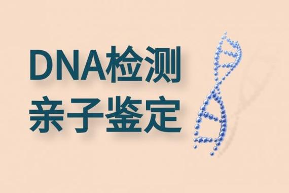 亲子鉴定DNA